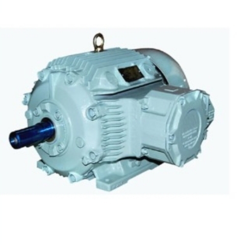 Flame Proof Electric Motor