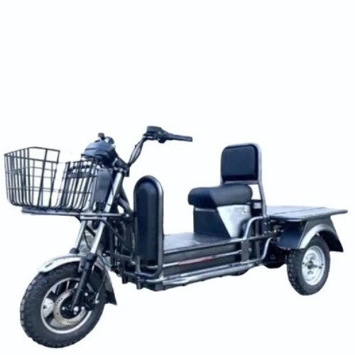Heavy Load Electric Bike
