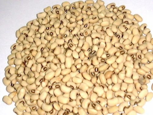 White Matpe Pulse