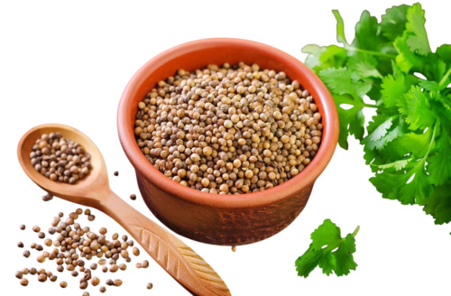 Dried Coriander