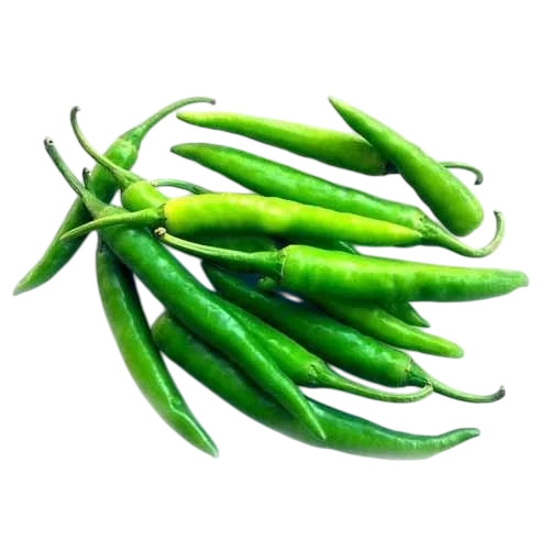 Fresh Green Chilli