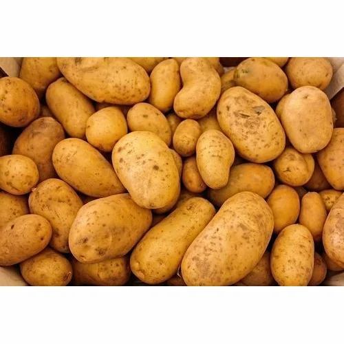 Fresh Potato