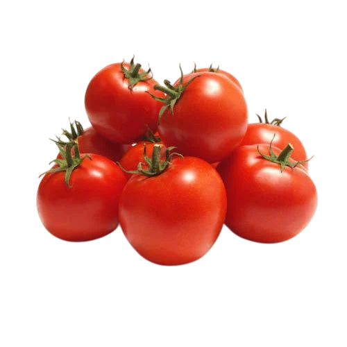 Fresh Red Tomato