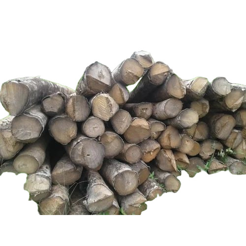 Gamari Gmelina Wood