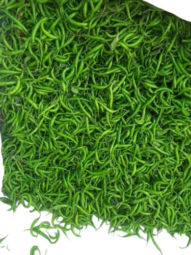 Green Chilli