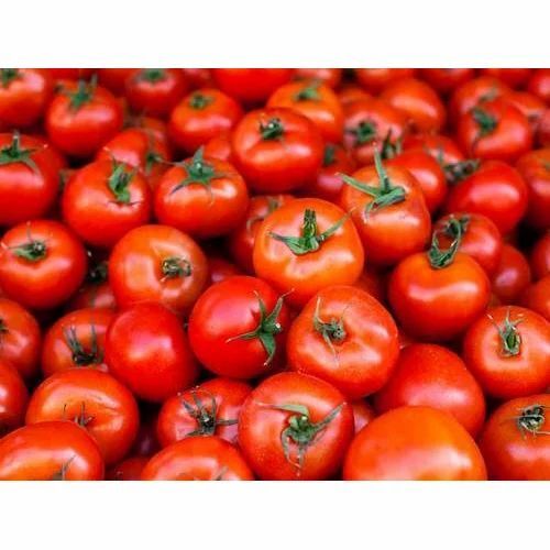 Red Tomato