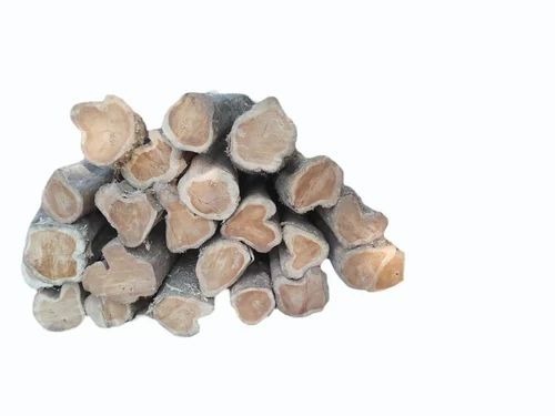 Round Indian Sal Wood Logs