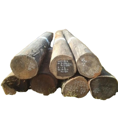 Sakhua Wood Log
