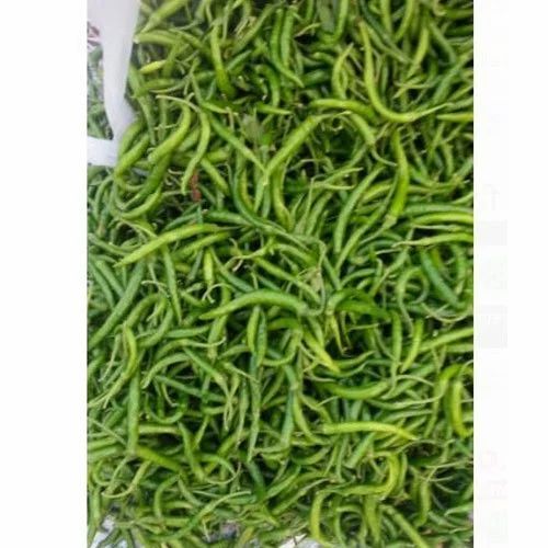 Fresh Green Chilli