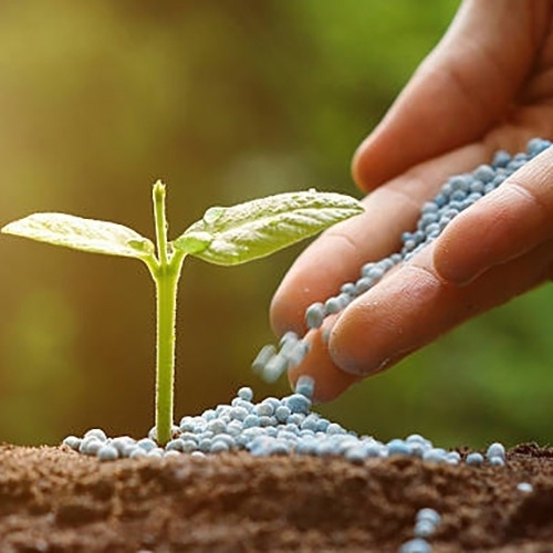 Agriculture Fertilizer