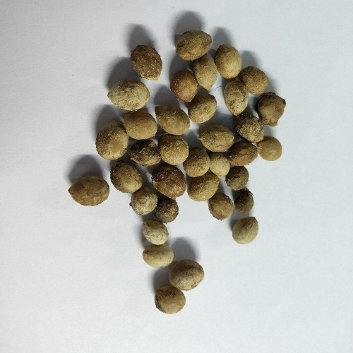 Dried Alangium Salviifolium Seeds