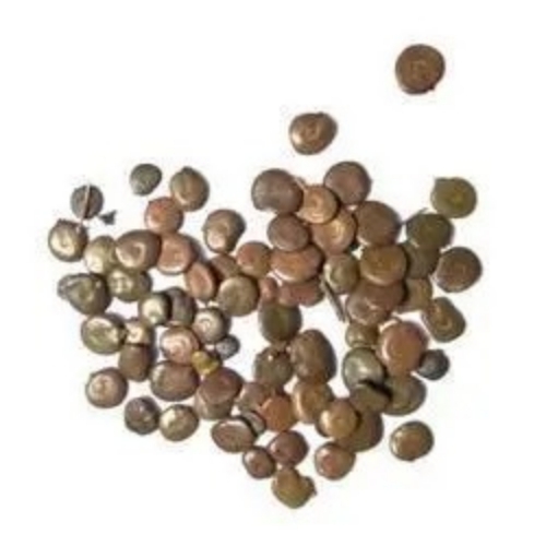 Khair Seeds