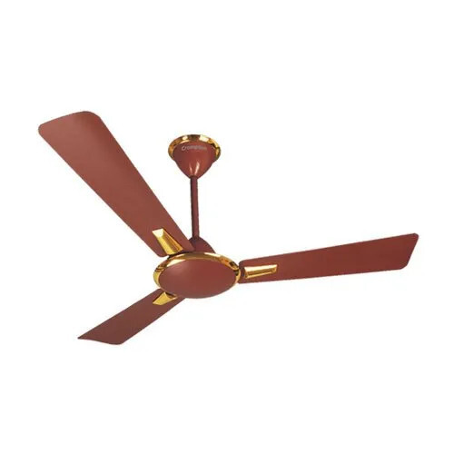 Crompton Aura Ceiling Fan - Color: Brown
