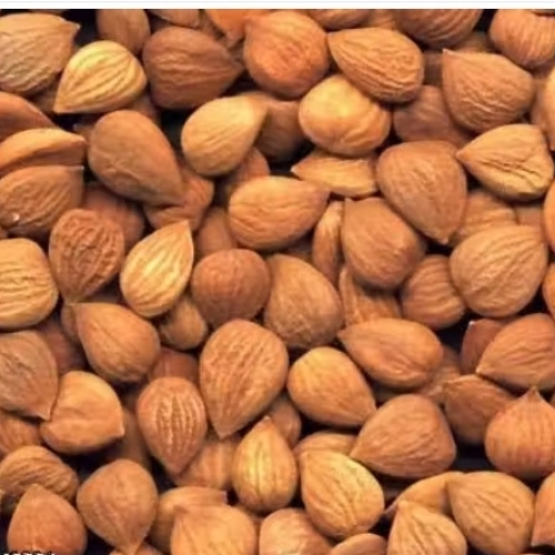 Apricot Seeds