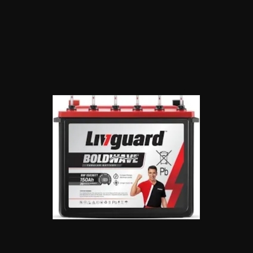 Cas 100 inverter battery