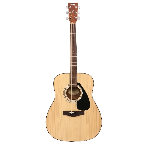 Semi Acoustic Guitar 