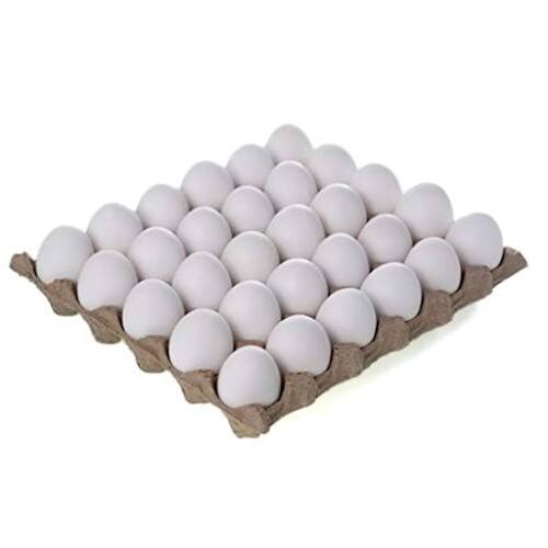 Fresh Eggs - Egg Weight: Freshegg