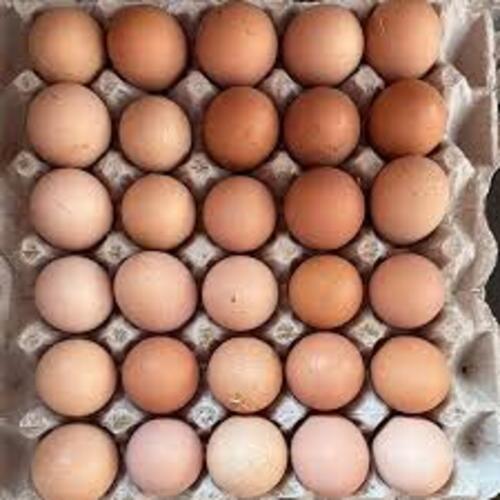 Poultry Eggs - Egg Weight: Poultyfreshegg