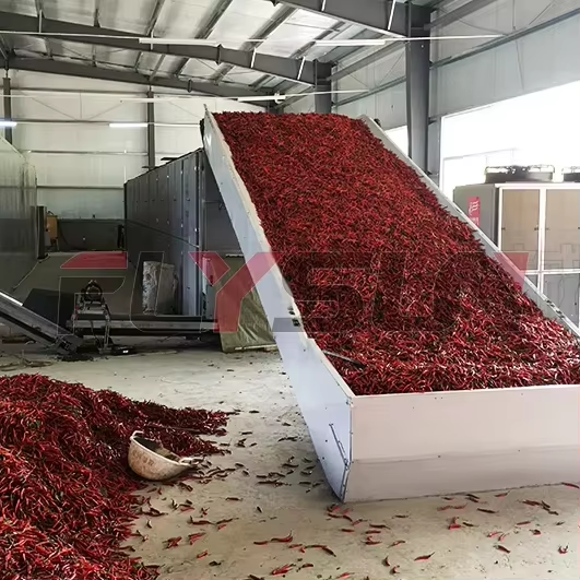 Gas Heating Frozen Red Chili Drying Machine Chilli Dehydrator Equipment Hot Pepper Drying Machine