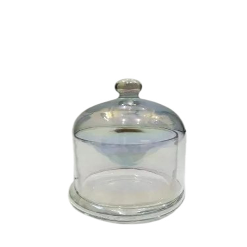 Glass Dome Bell Jar