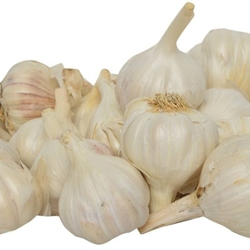 Whole Garlic