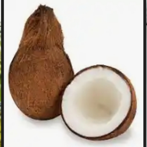 Coconut