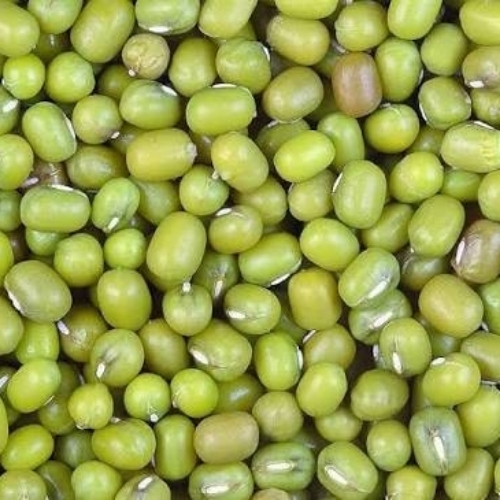 Moong Seed