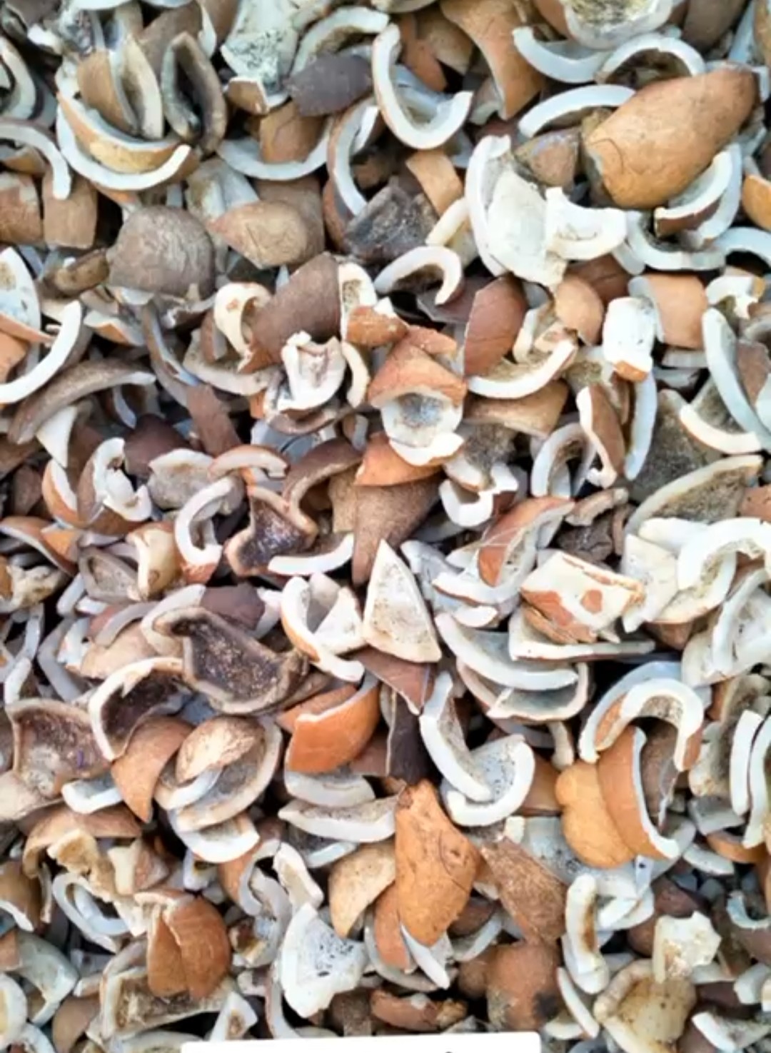 Natural Sundried Copra Coconut Meat
