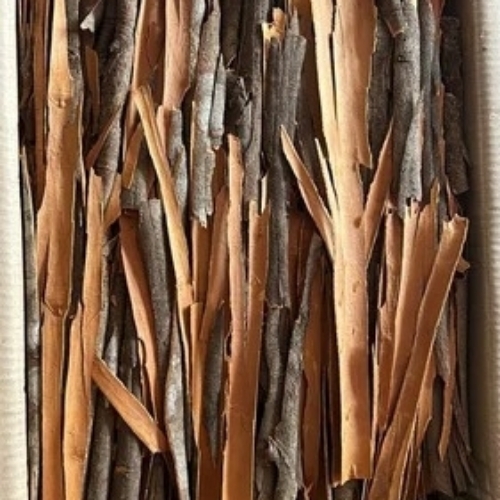 Premium Quality Split Cassia