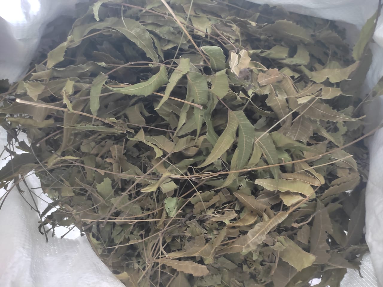 Neem Leaves - Ingredients: Herbs