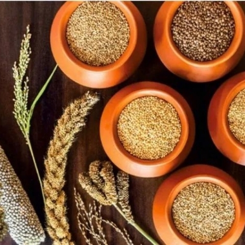 Organic millets