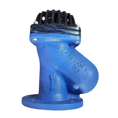 Ball Type Foot Valve