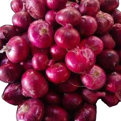 Fresh Onion
