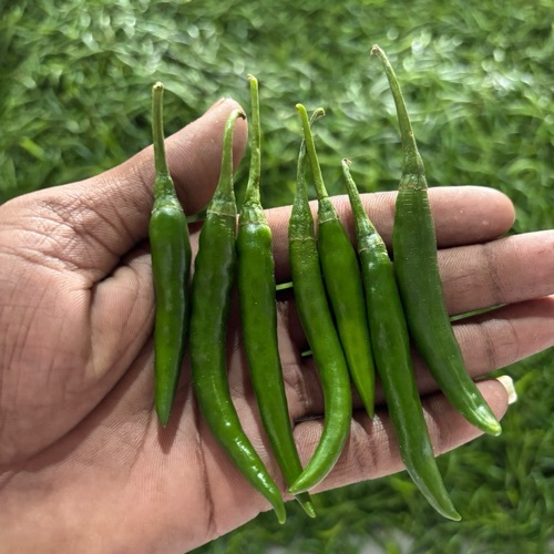 Green Chili