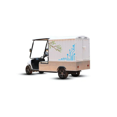 Two Seater Golf Cart With Cargo - Color: Multicolor
