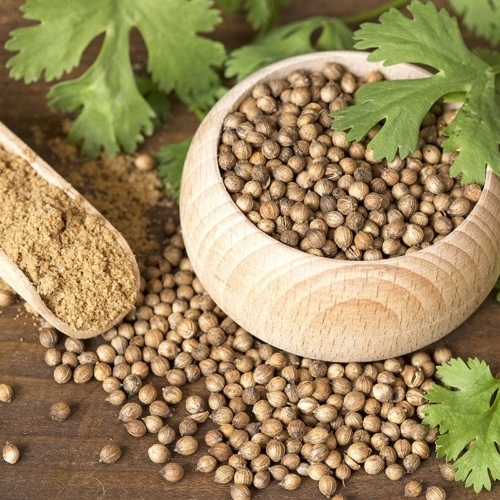 Brown Coriander 