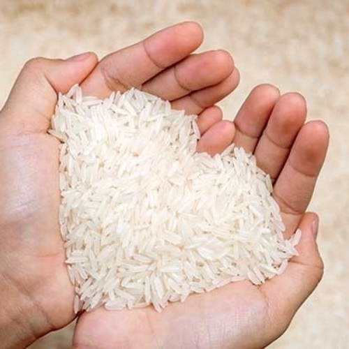 Raw Indian Rice
