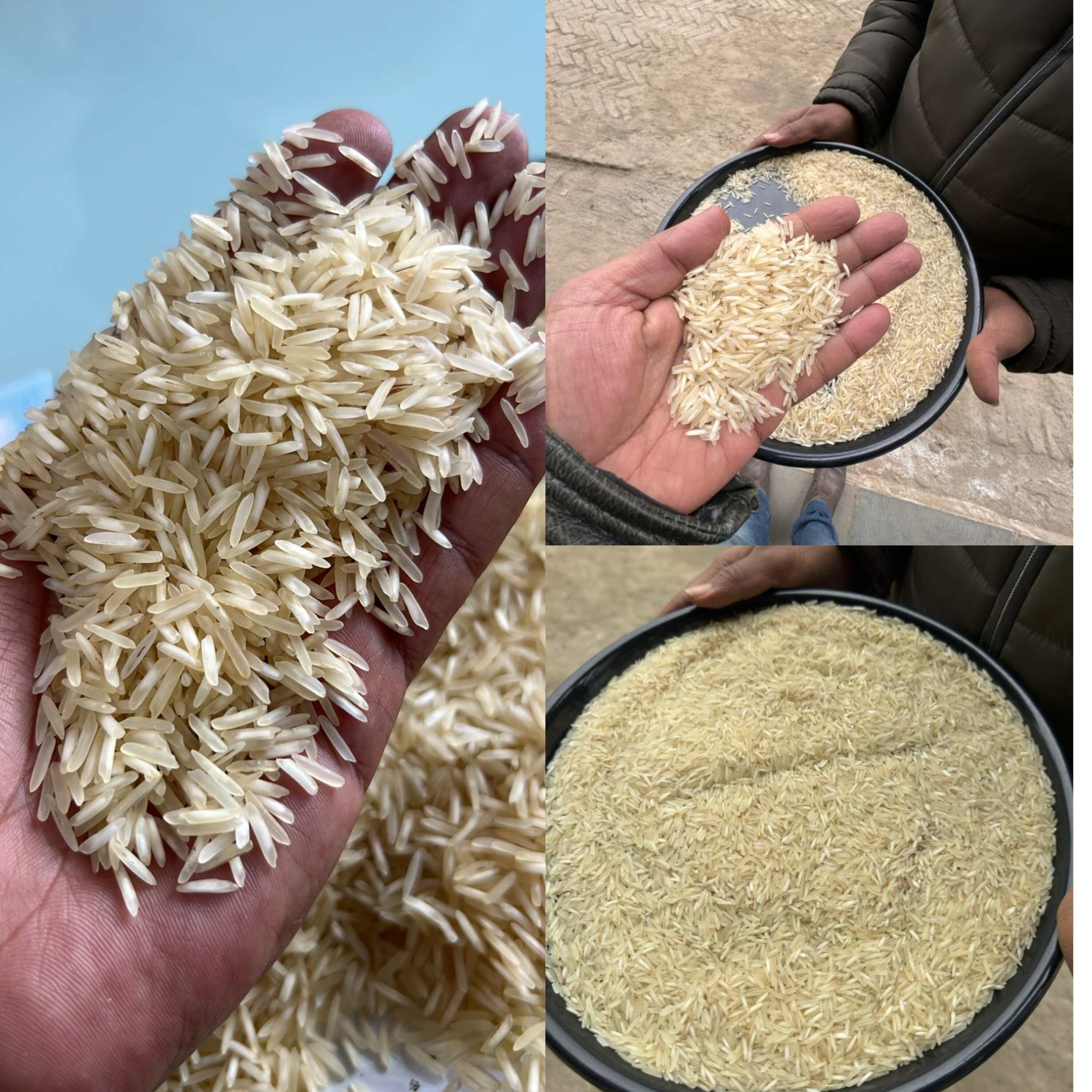 1509 steam basmati rice