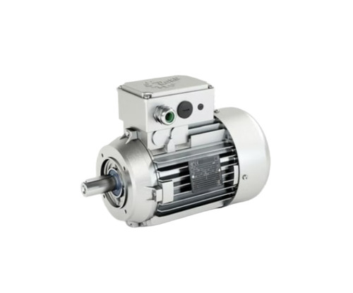 Asynchronous Electric Motor