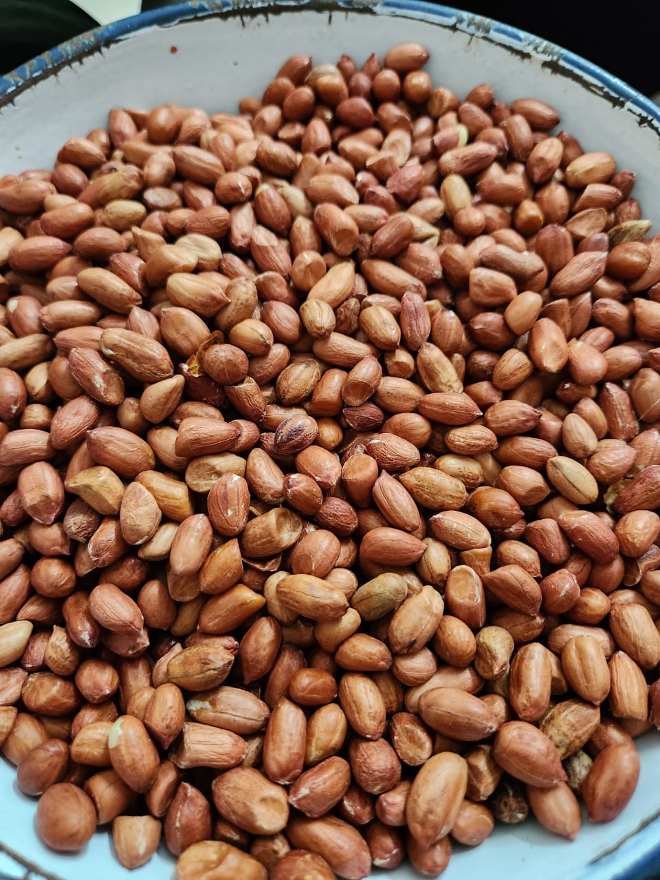 Bold Peanuts