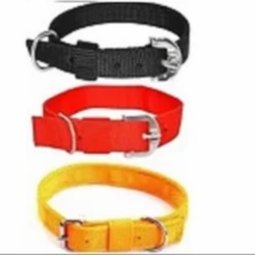 Dog Collars
