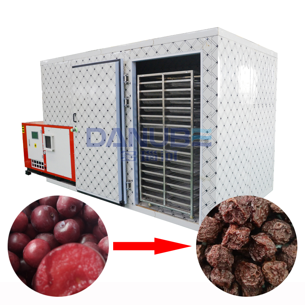 Fruit Dehydrator Machine Plum Drying Room Plum Heat Pump Drying Oven Plum Dehumidifier Equipment
