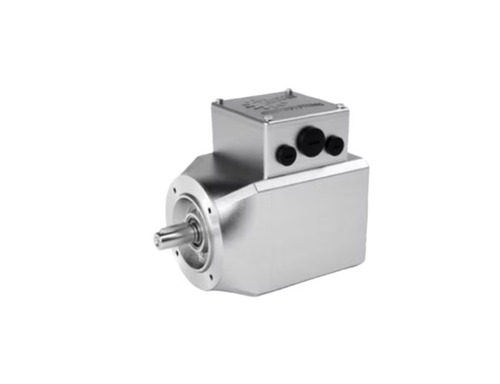 Synchronous Motor - Color: Silver