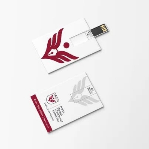 Credit Card Pen Drive 