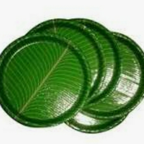 Green Disposeal Plate