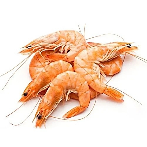 Prawns