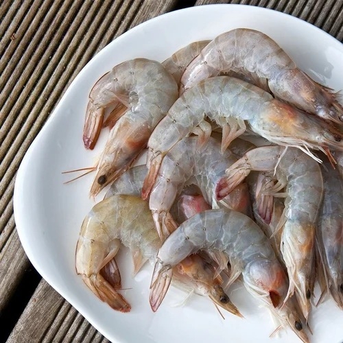 Sea Prawns