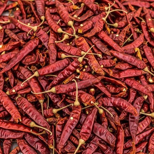 Dry Red Chilli