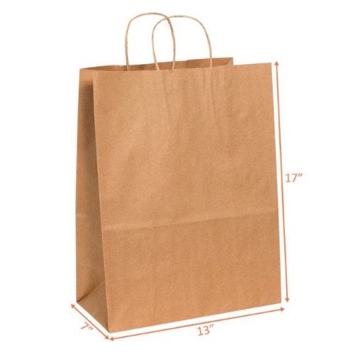 Plain Paper Bag