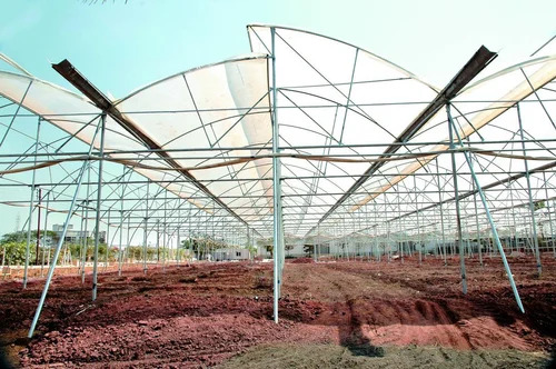 Poly House - Advantage: Open Vent Polyhouse